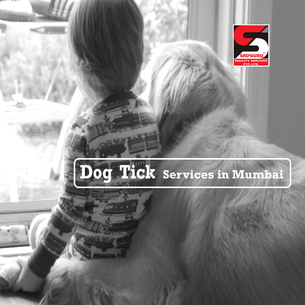 Dog-tick-services-in-Mumbai-sadguru-pest-control.